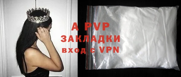 крисы Белокуриха