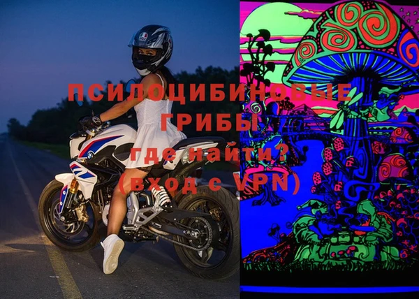 крисы Белокуриха