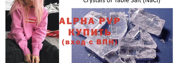 крисы Белокуриха
